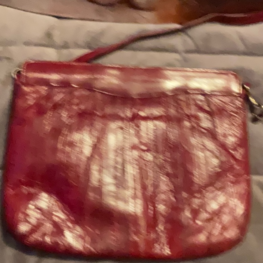 Vintage Eel skin purse
